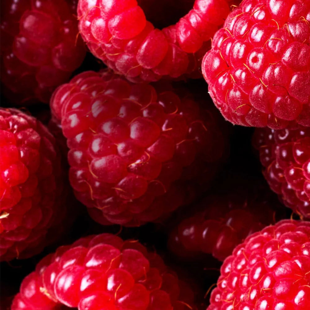 Raspberry - Balm N' Cute Bálsamo Labial