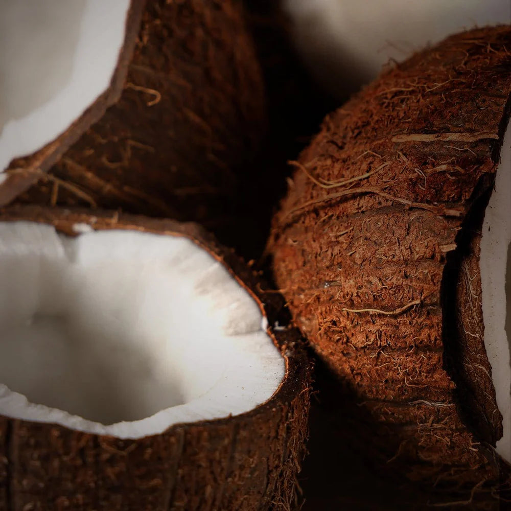 Coconut - Balm N' Cute Bálsamo Labial