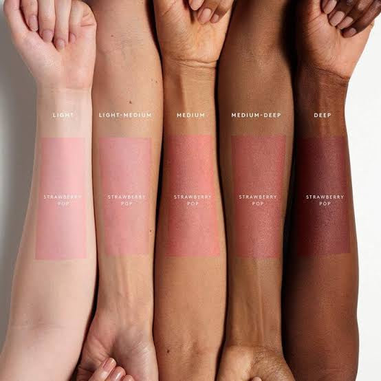 Match Stix Color Adptive Cheek + Lip Stick