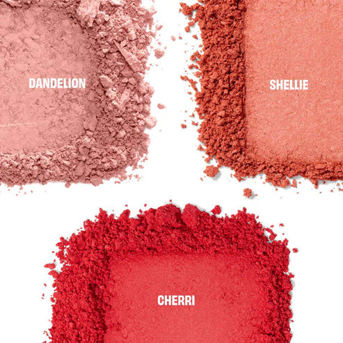 Chocolotta Blush Mini Eastern Palette
