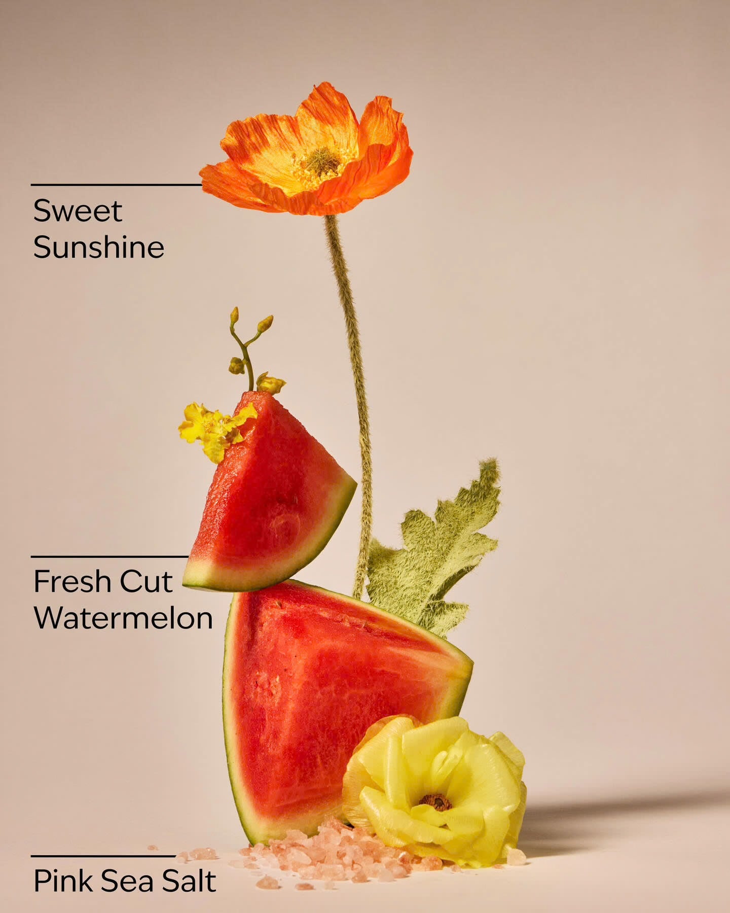 Fresh Watermelon  - Vela de 3 mechas