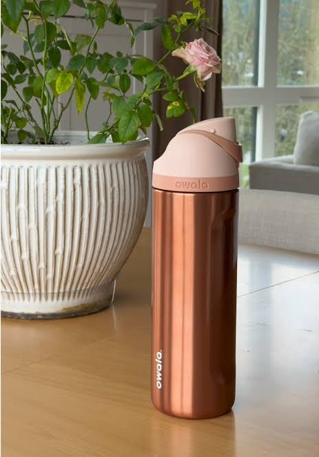 In Good Company - Owala 24oz Stainless Steel FreeSip Water Bottle