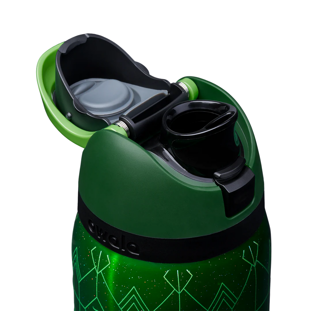 Owala FreeSip 32 oz Water Bottle - Wicked For Good - Elphaba
