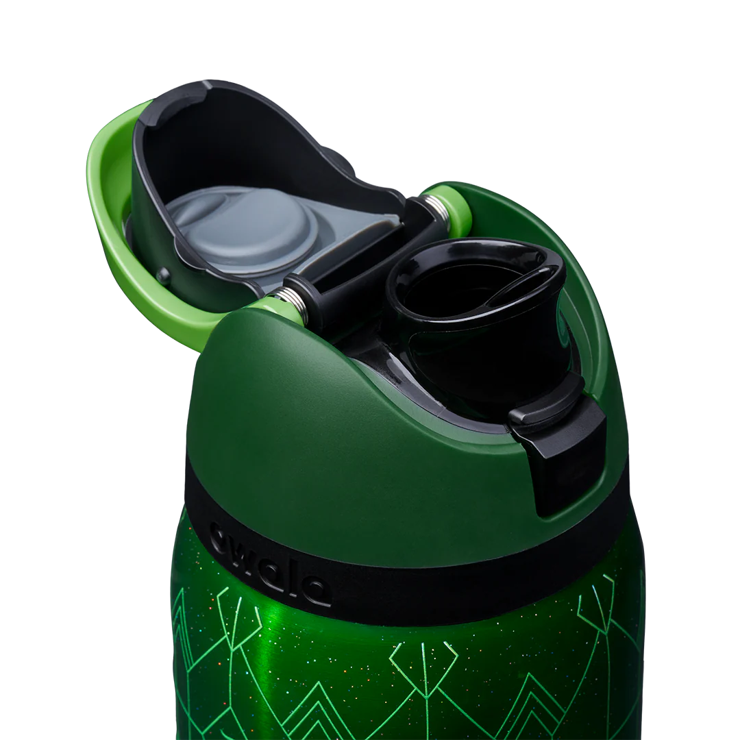 Owala FreeSip 32 oz Water Bottle - Wicked For Good - Elphaba