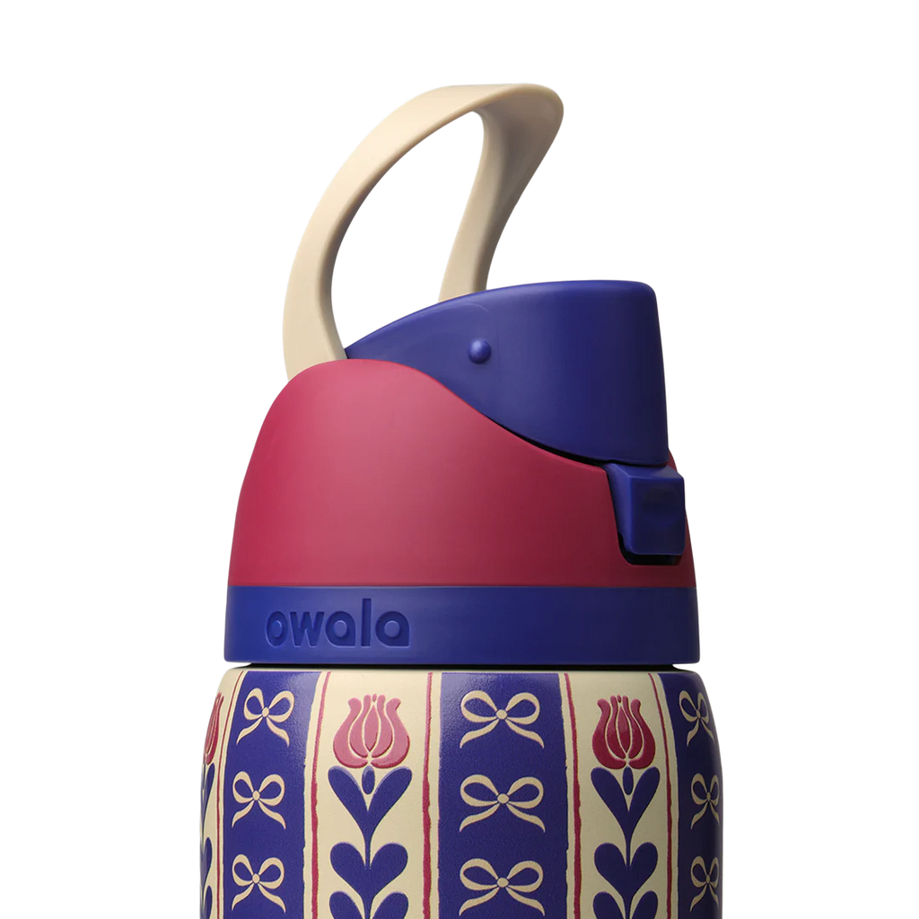 Owala 32 oz FreeSip Stainless Steel Water Bottle - Holiday Hygge