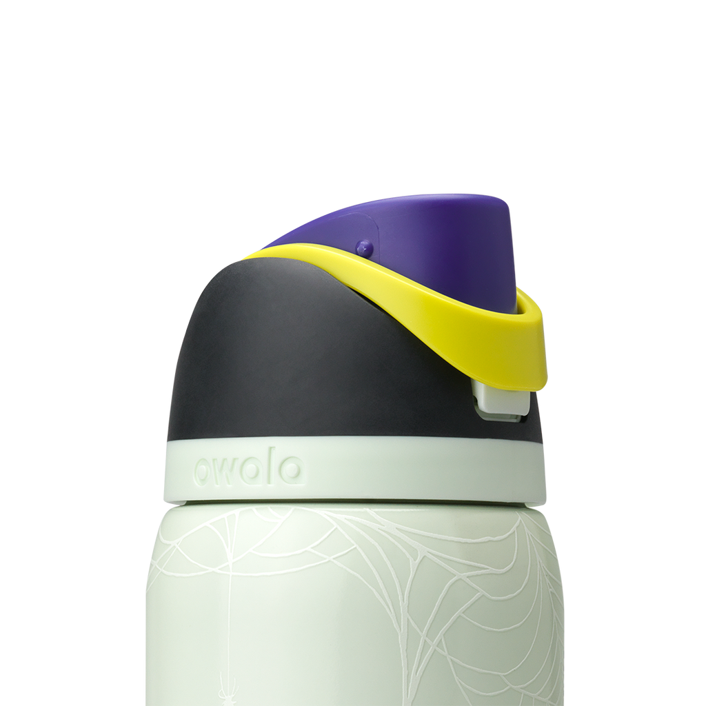 Owala 32 oz FreeSip Stainless Steel Water Bottle - RIP