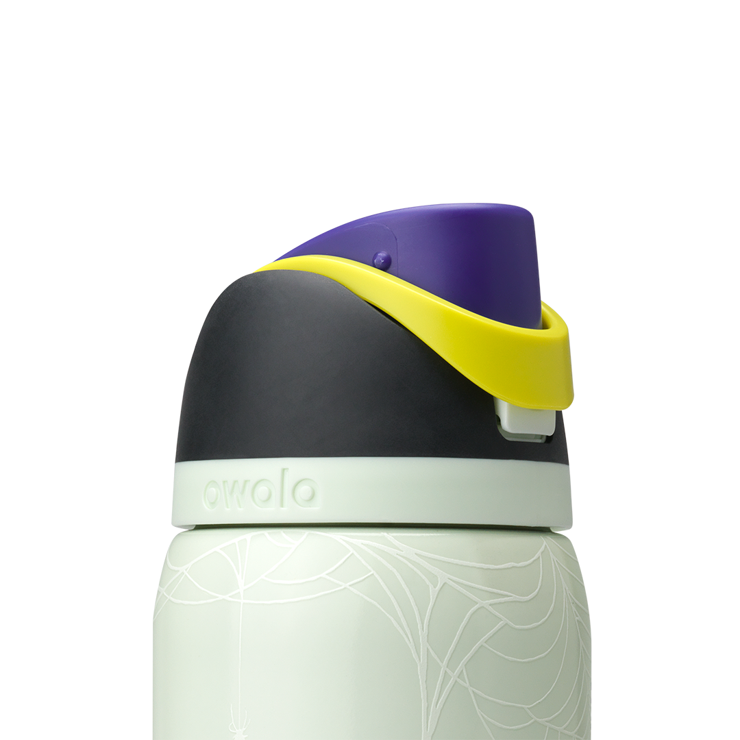 Owala 32 oz FreeSip Stainless Steel Water Bottle - RIP