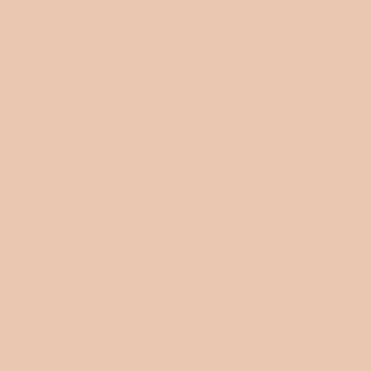 Lasting Priming Cream Shadow - 002 Beige