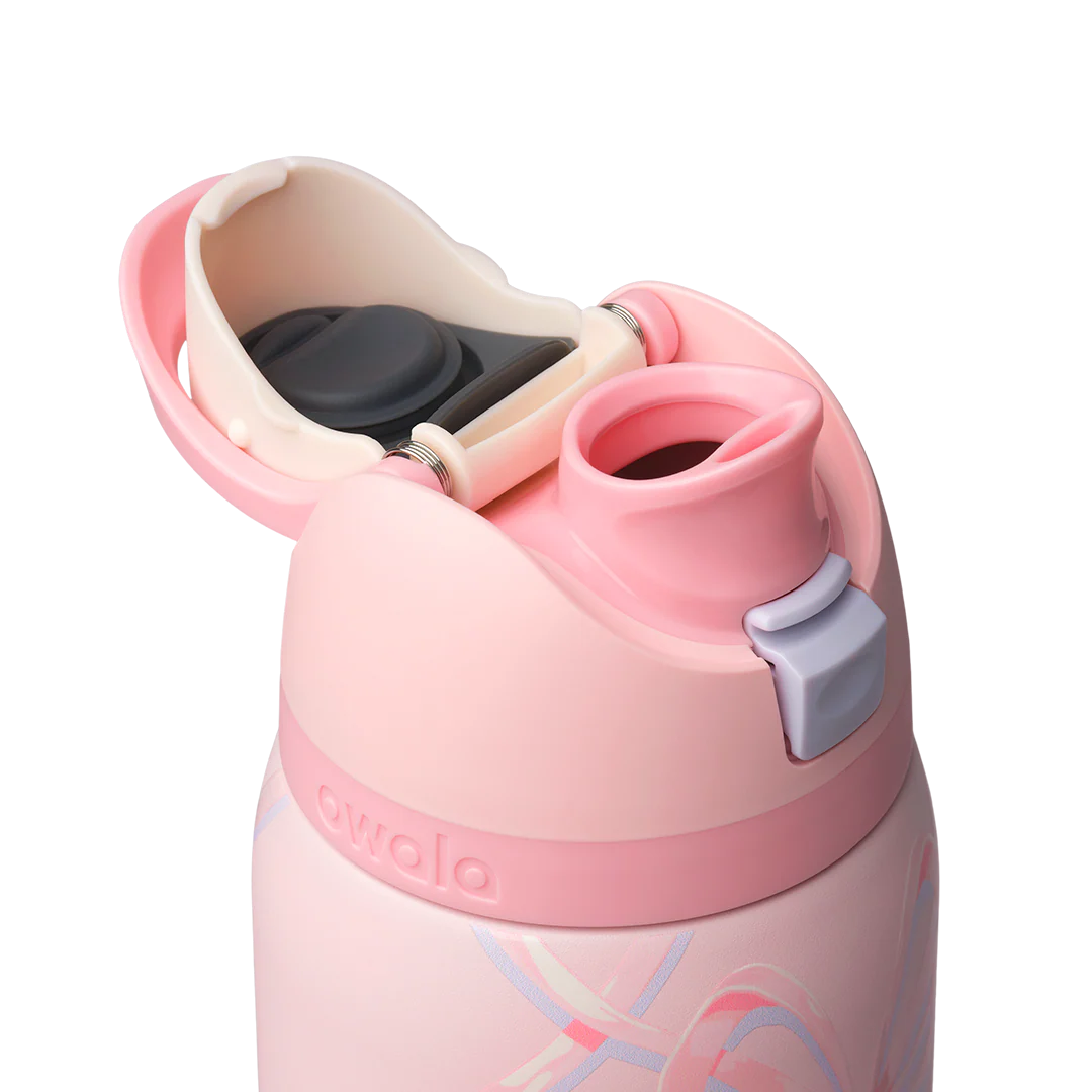 Owala 32 oz FreeSip Stainless Steel Water Bottle - Sugar Plum Fairy