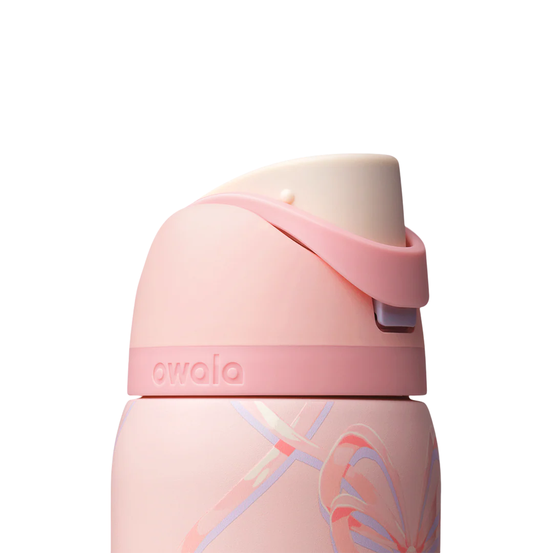 Owala 32 oz FreeSip Stainless Steel Water Bottle - Sugar Plum Fairy