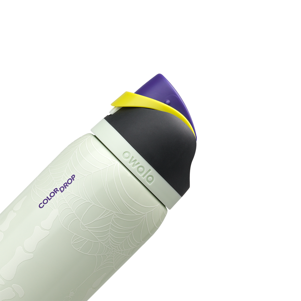 Owala 32 oz FreeSip Stainless Steel Water Bottle - RIP