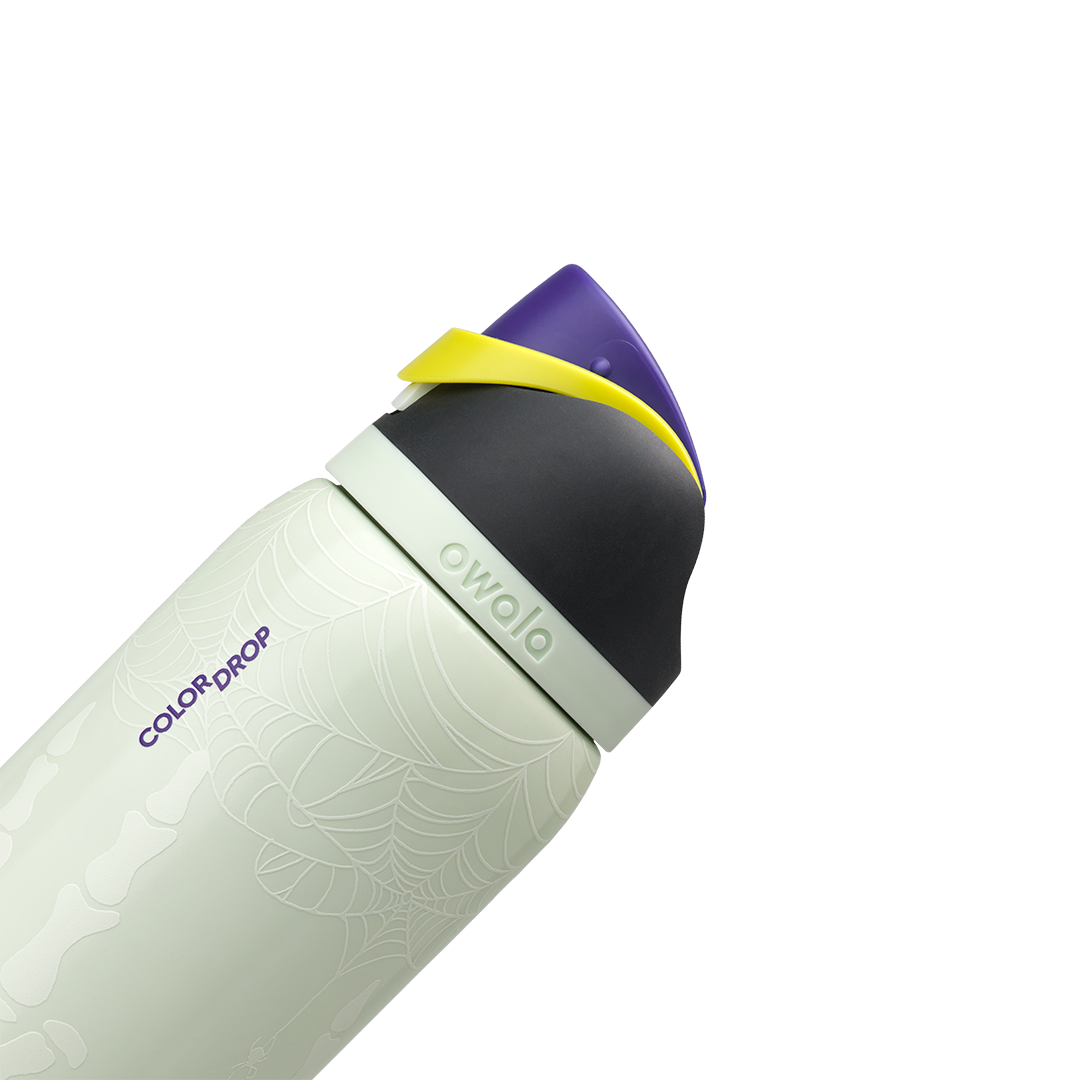 Owala 32 oz FreeSip Stainless Steel Water Bottle - RIP