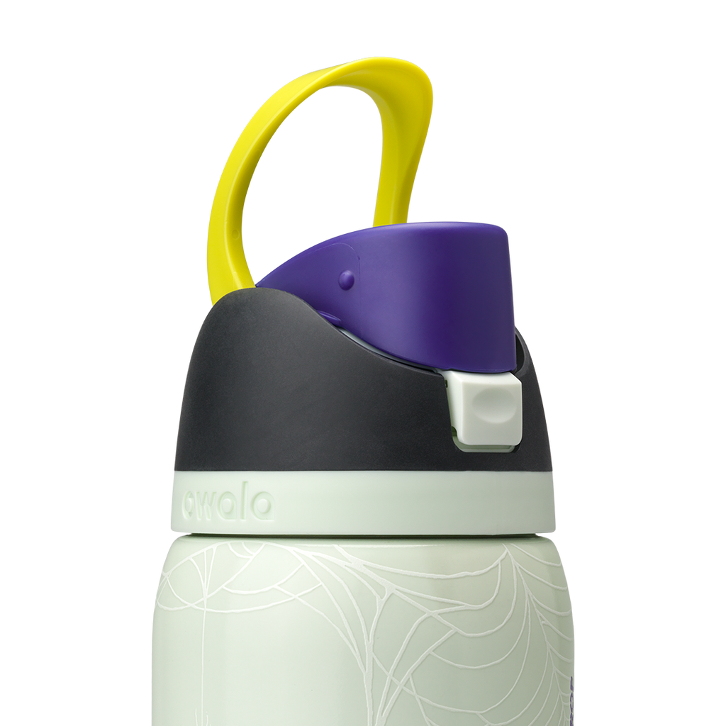 Owala 32 oz FreeSip Stainless Steel Water Bottle - RIP