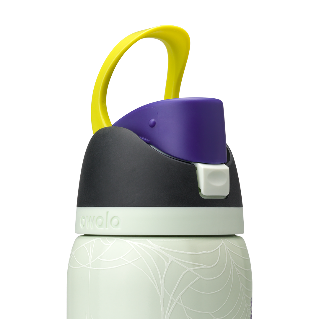 Owala 32 oz FreeSip Stainless Steel Water Bottle - RIP