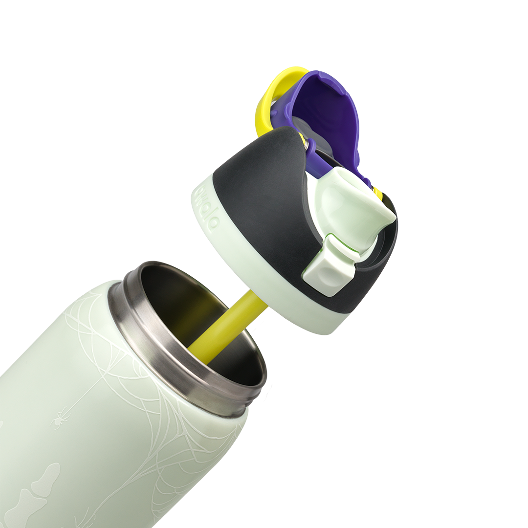 Owala 32 oz FreeSip Stainless Steel Water Bottle - RIP