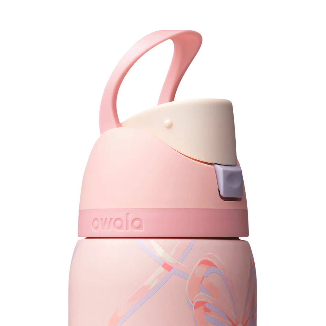 Owala 32 oz FreeSip Stainless Steel Water Bottle - Sugar Plum Fairy