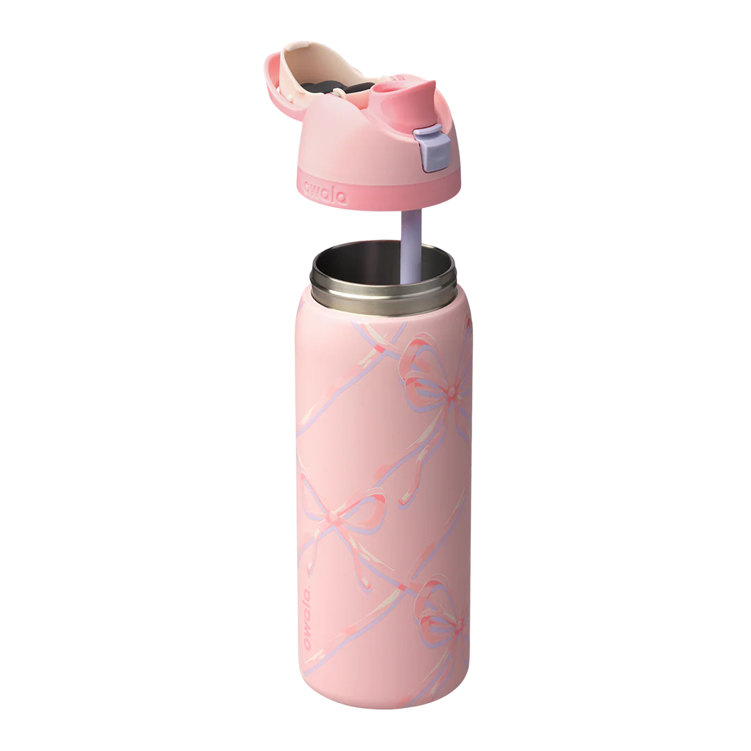 Owala 32 oz FreeSip Stainless Steel Water Bottle - Sugar Plum Fairy