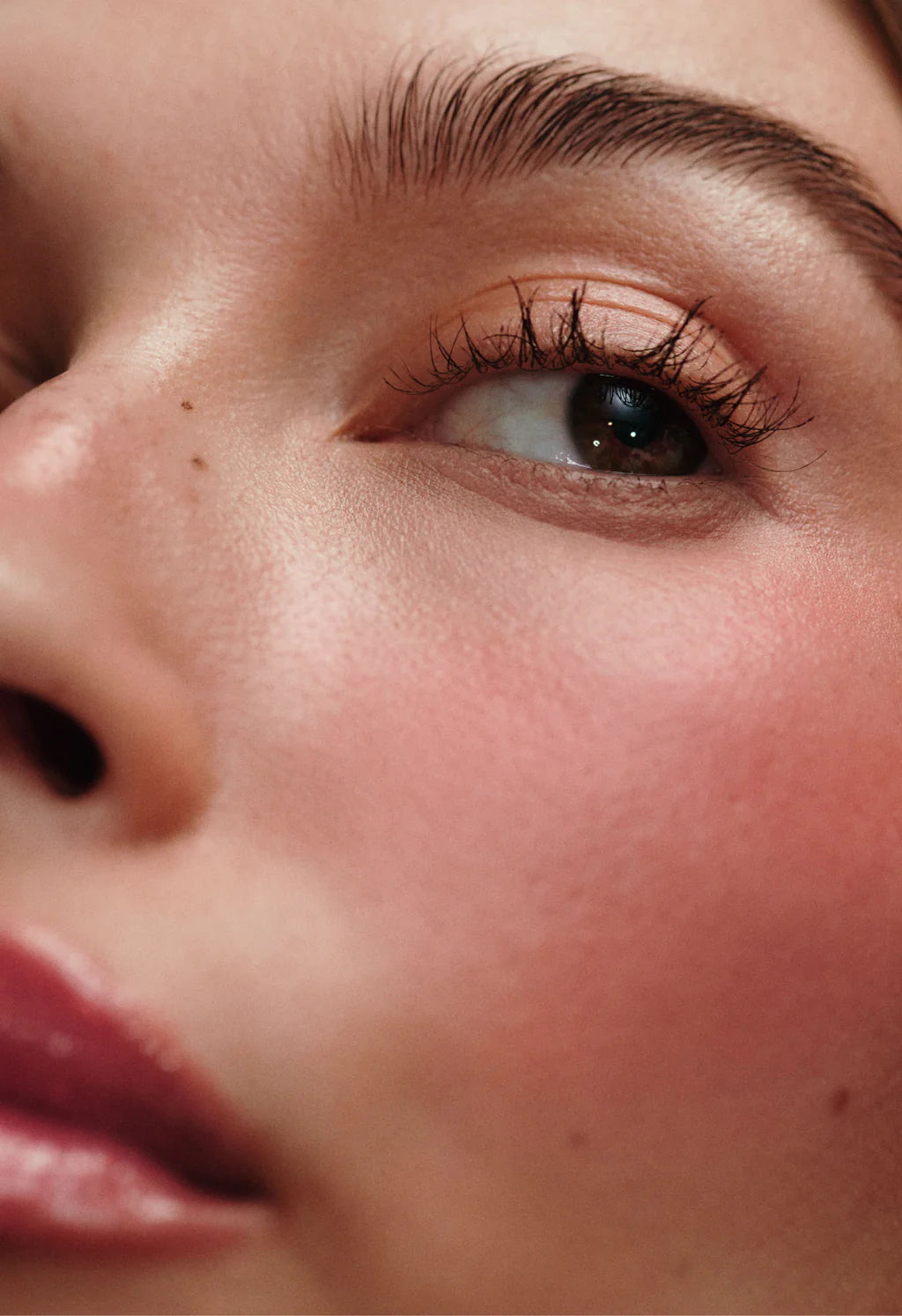 Pocket Blush - Freckle