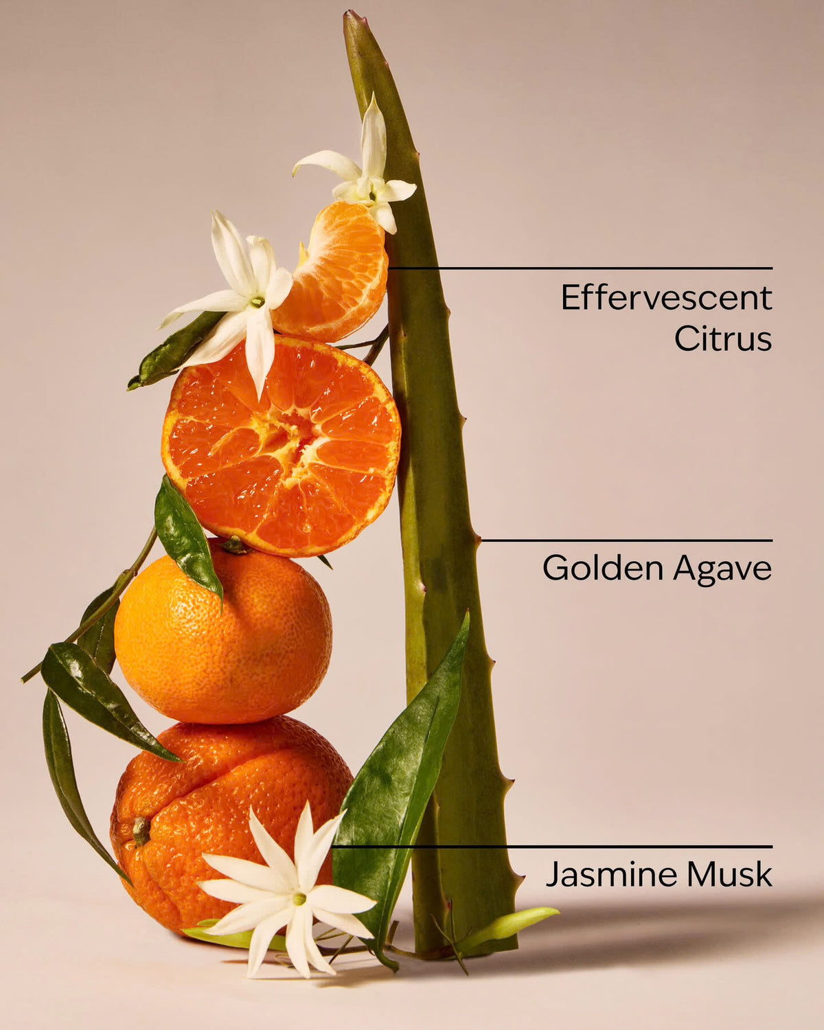 Sweet Orange & Agave - Car Fragrance Refill