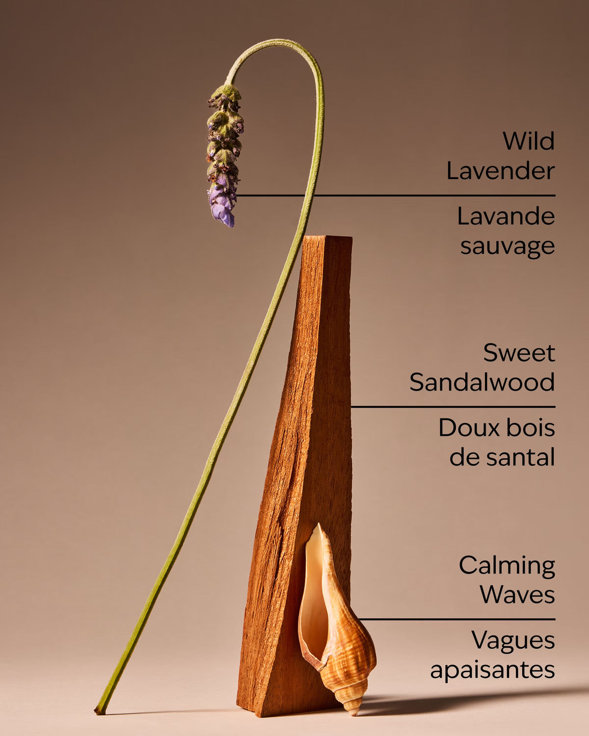 Oceanside Lavender - Car Fragrance Refill