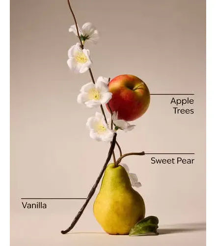 Spring Apple - Car Fragrance Refill