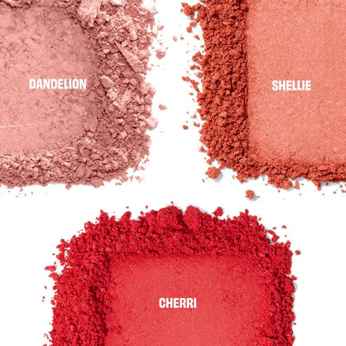 Chocolotta Blush Mini Eastern Palette